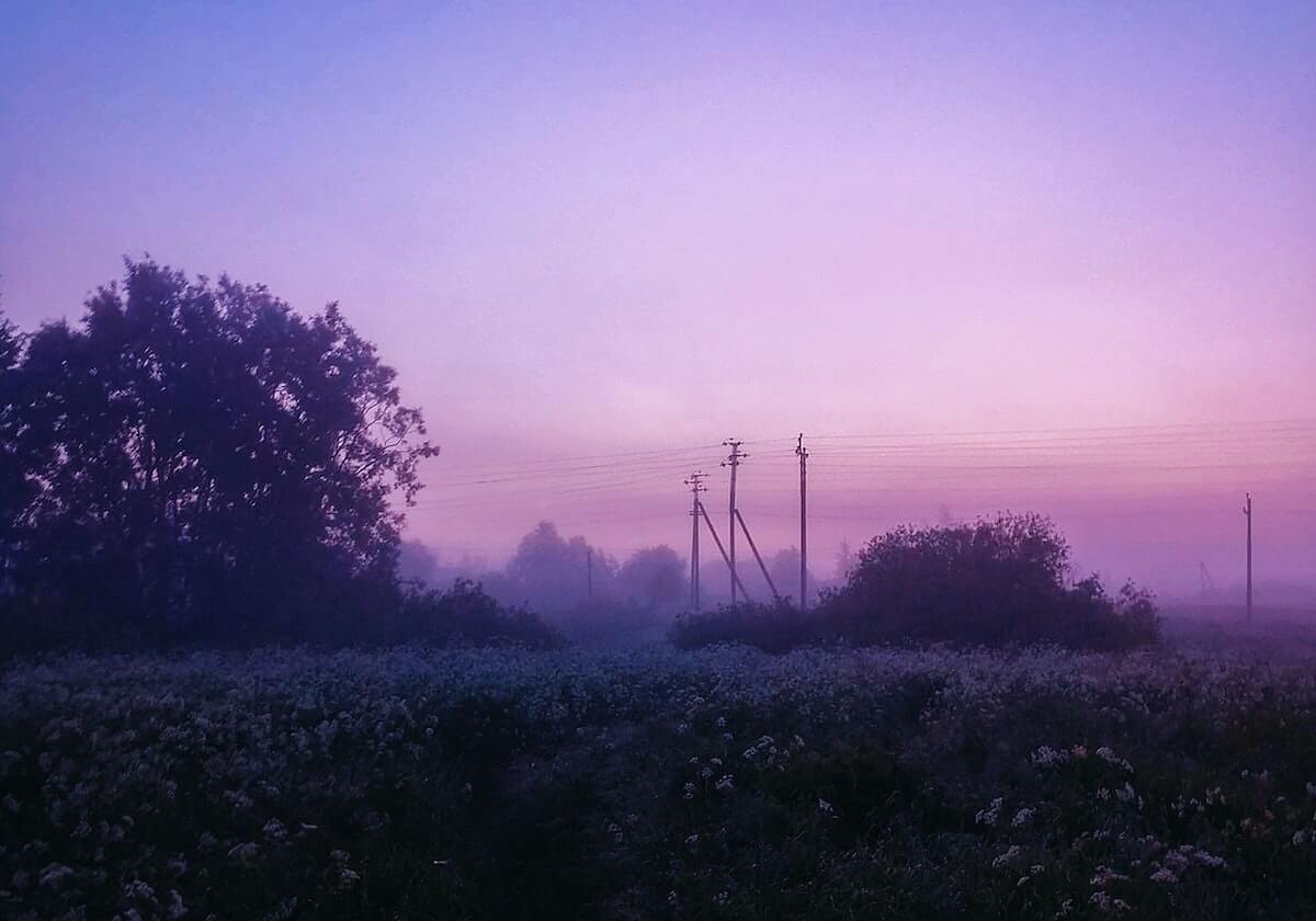 终结者没绝杀也靠谱 有他在国安冲亚冠最佳有底气